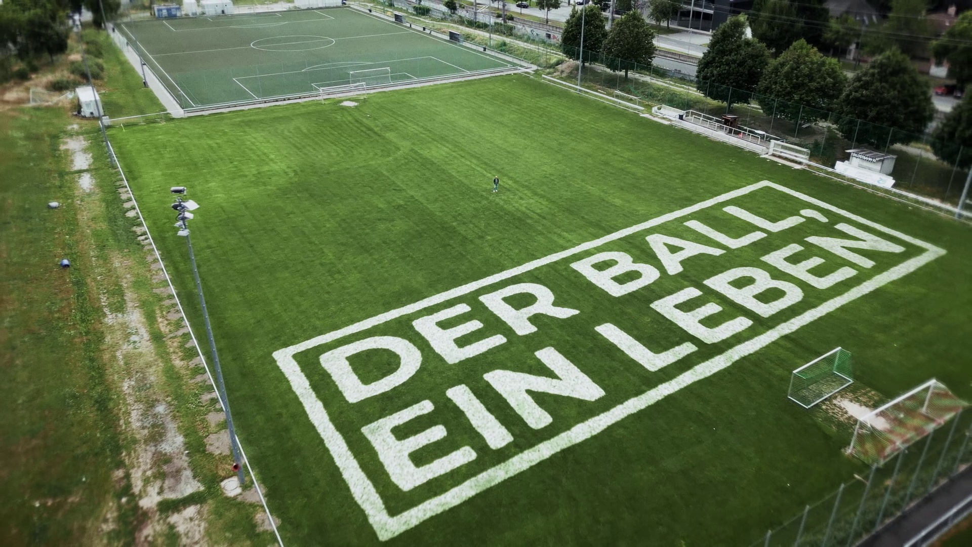 Titelbild Herbert Prohaska - Der Ball, ein Leben